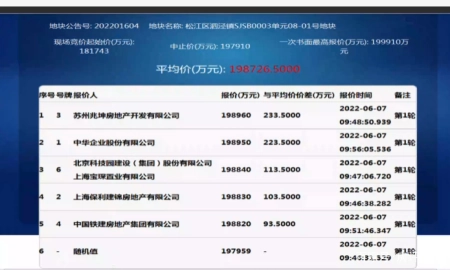 难以置信（上海第二轮集中土拍）上海土拍速报 2月9日，(图3)